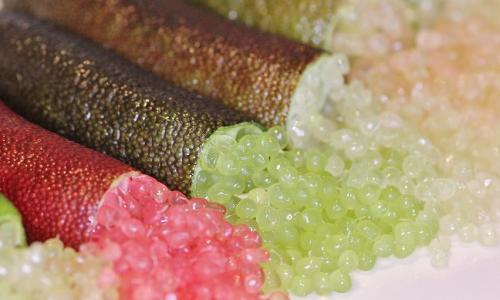 Chanh ngón tay Australia: Sản vật cổ xưa khẳng định vị thế nông sản cao cấp